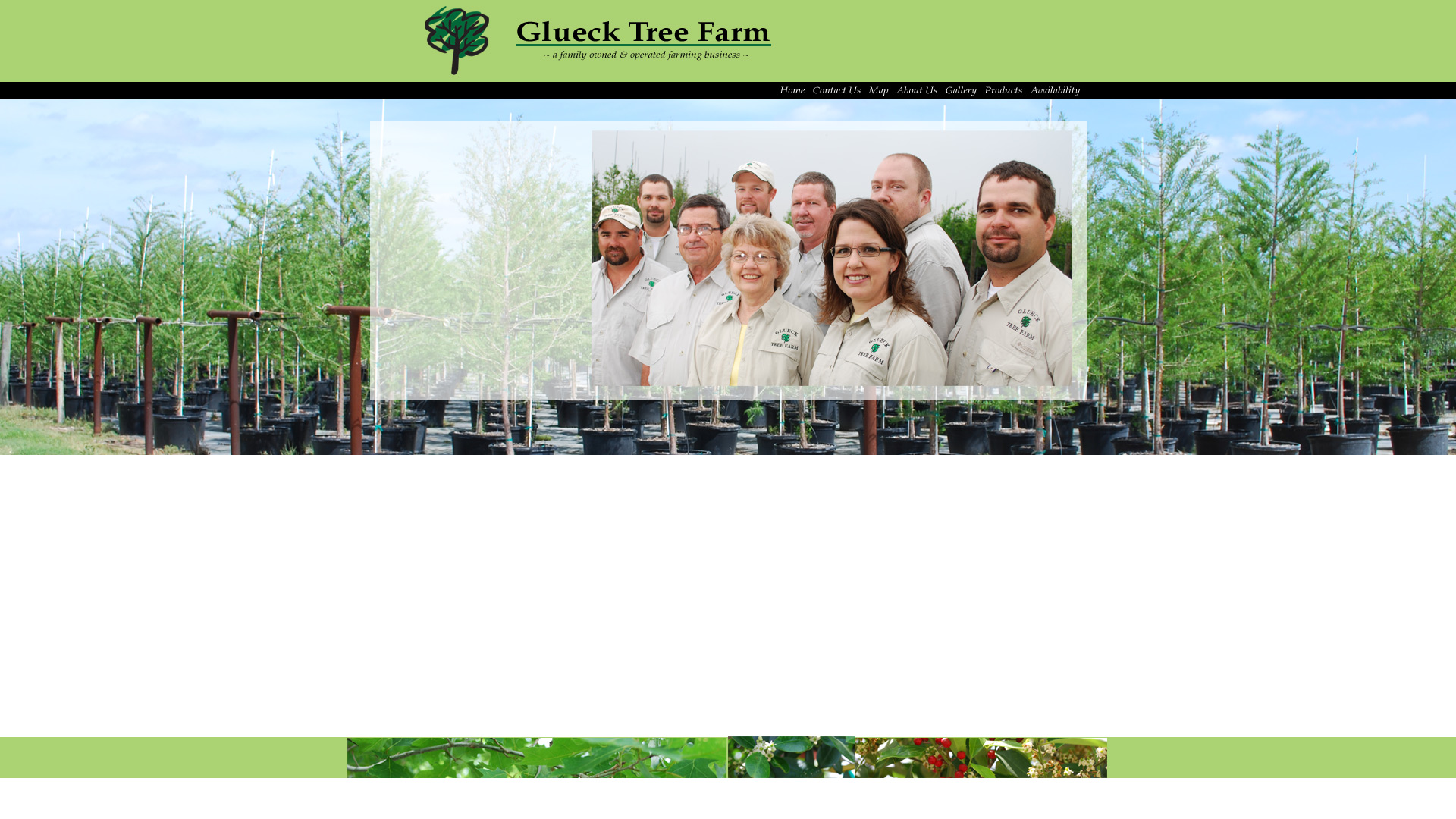 Glueck Tree Farm